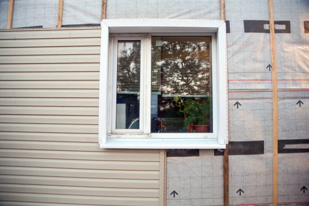 Affordable Siding Repair and Maintenance Services in Cannon Falls, MN